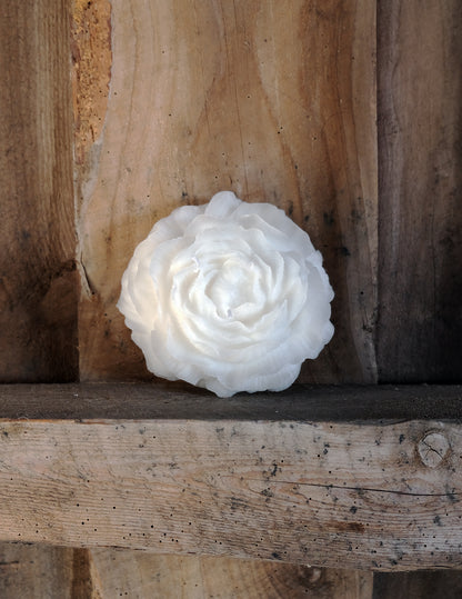 Big Peony