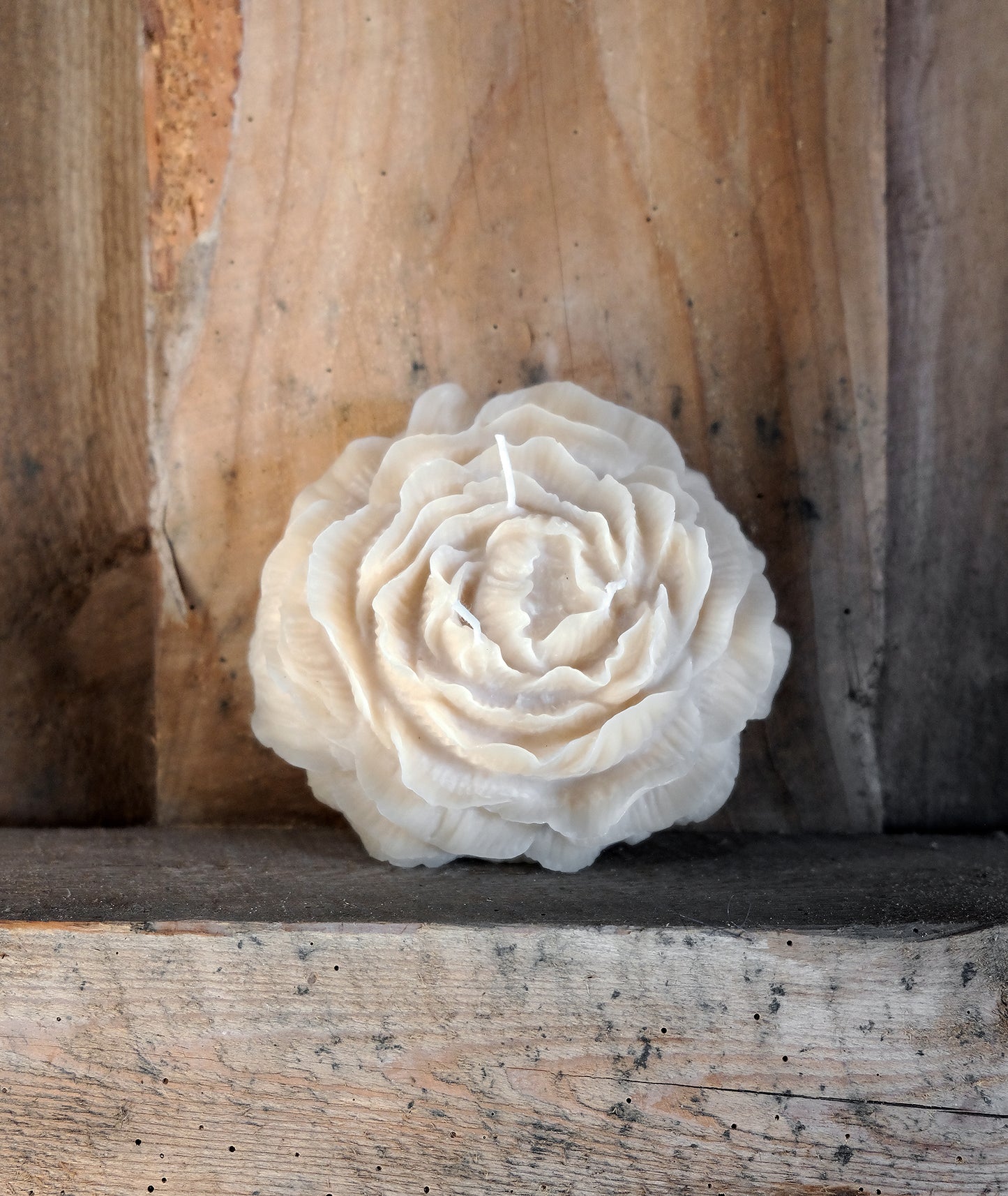 Big Peony