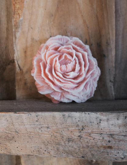 Big Peony